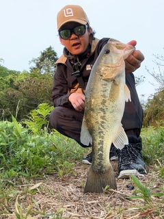 ブラックバスの釣果