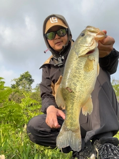 ブラックバスの釣果