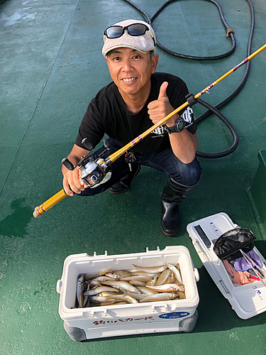 シロギスの釣果