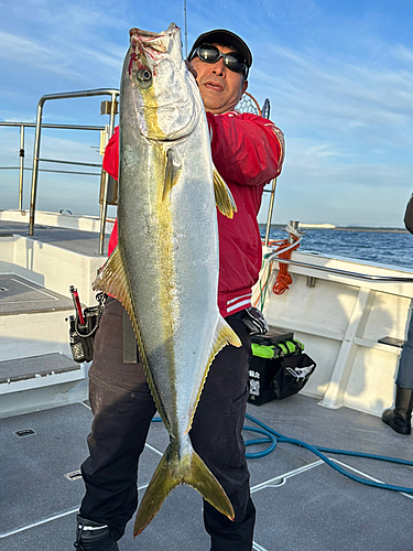 ヒラマサの釣果