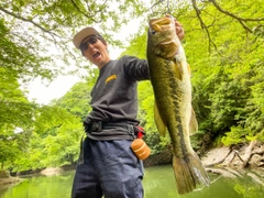 ブラックバスの釣果