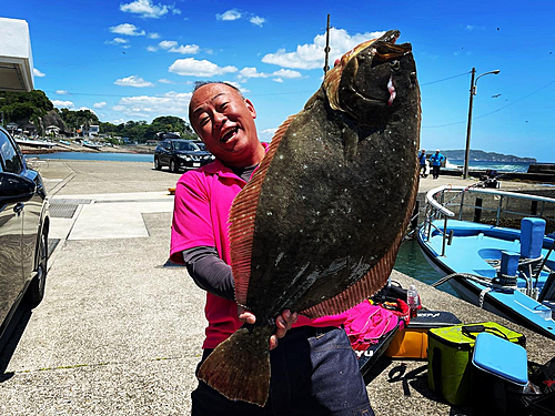 ヒラメの釣果