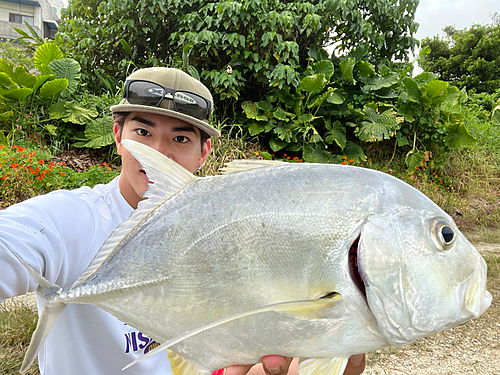 ロウニンアジの釣果