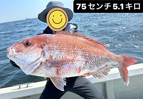 マダイの釣果