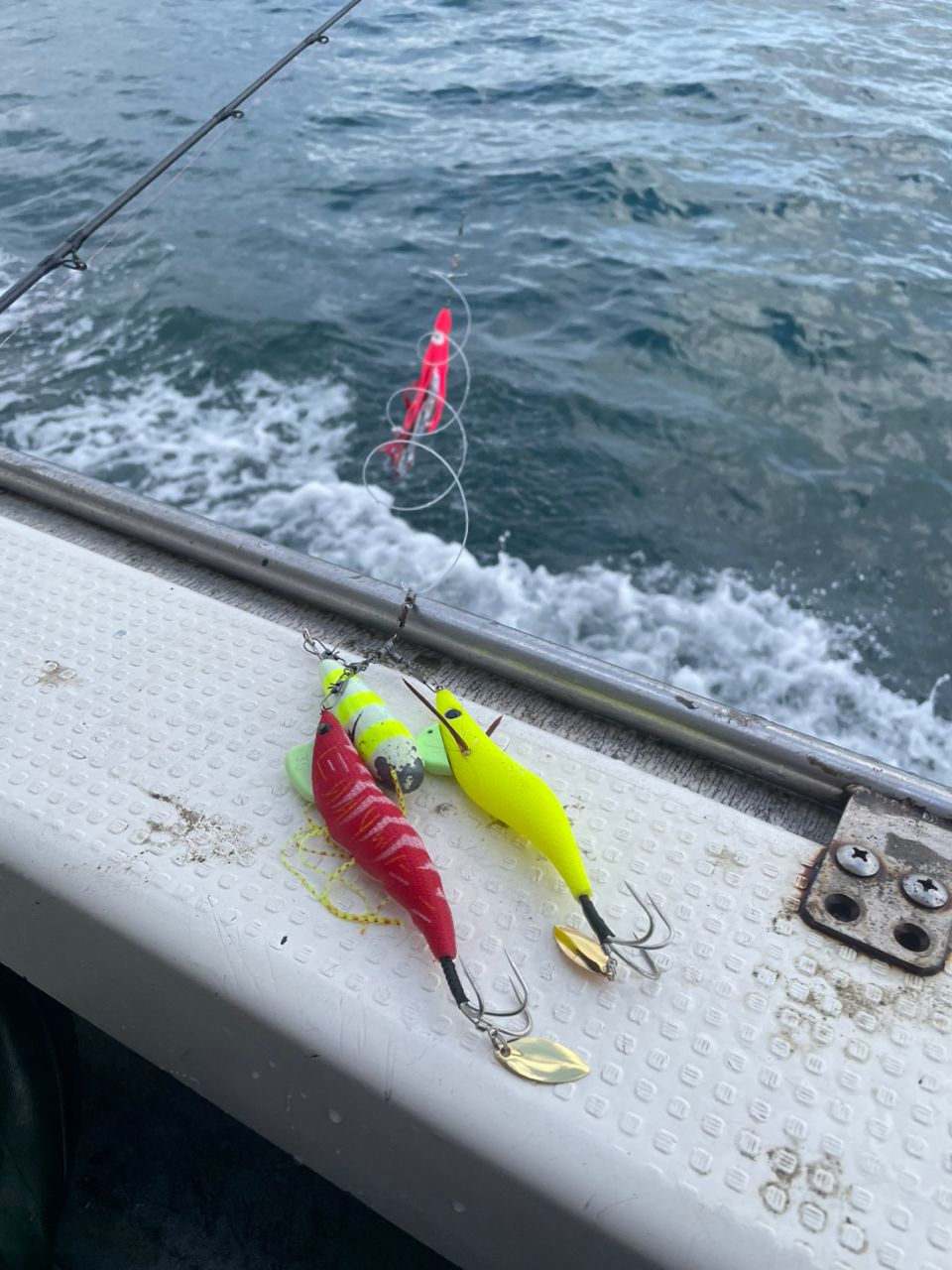 うぇるさんの釣果 2枚目の画像