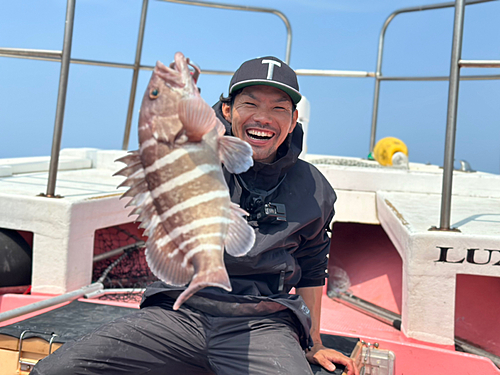 マハタの釣果