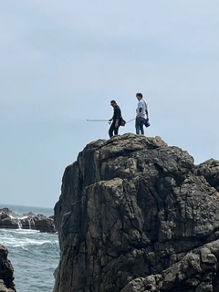 アイナメの釣果