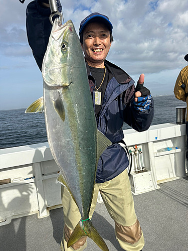 ヒラマサの釣果