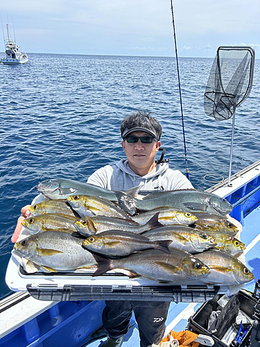 イサキの釣果