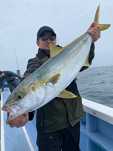 ヒラマサの釣果