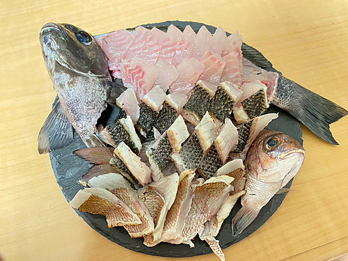 メジナの釣果