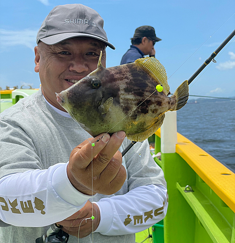 カワハギの釣果