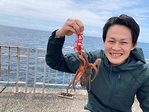 タコの釣果