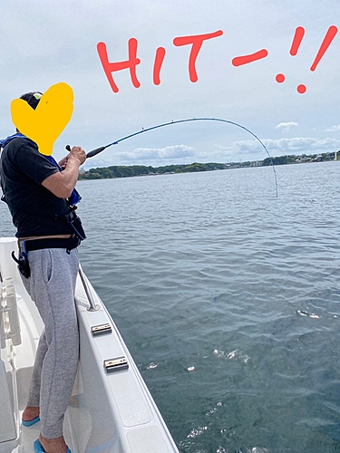 オオモンハタの釣果