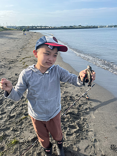 ゴマハゼの釣果