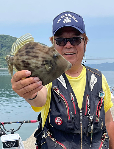 カワハギの釣果