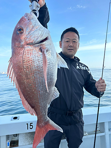 マダイの釣果