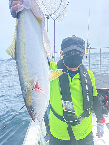 ハマチの釣果