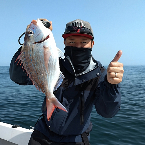 ハナダイの釣果