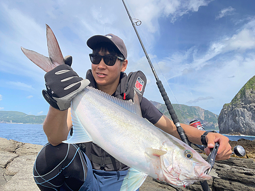 カンパチの釣果