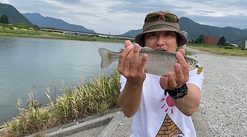 ニジマスの釣果