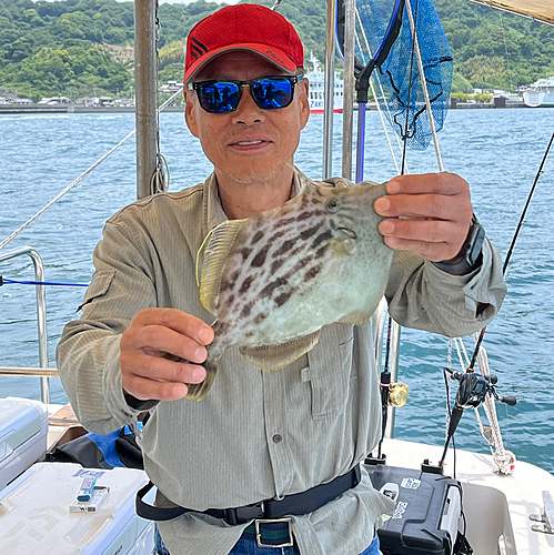 カワハギの釣果