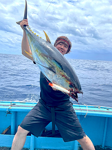 キハダマグロの釣果