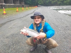 レインボートラウトの釣果