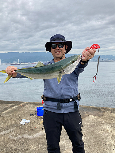 メジロの釣果