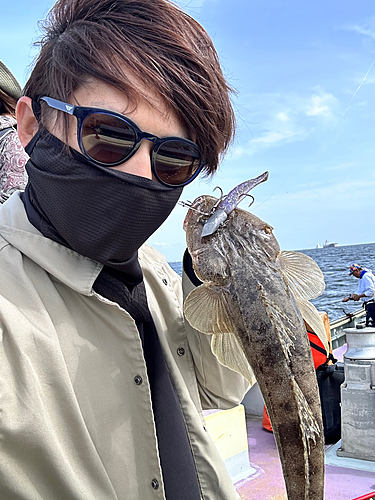 マゴチの釣果