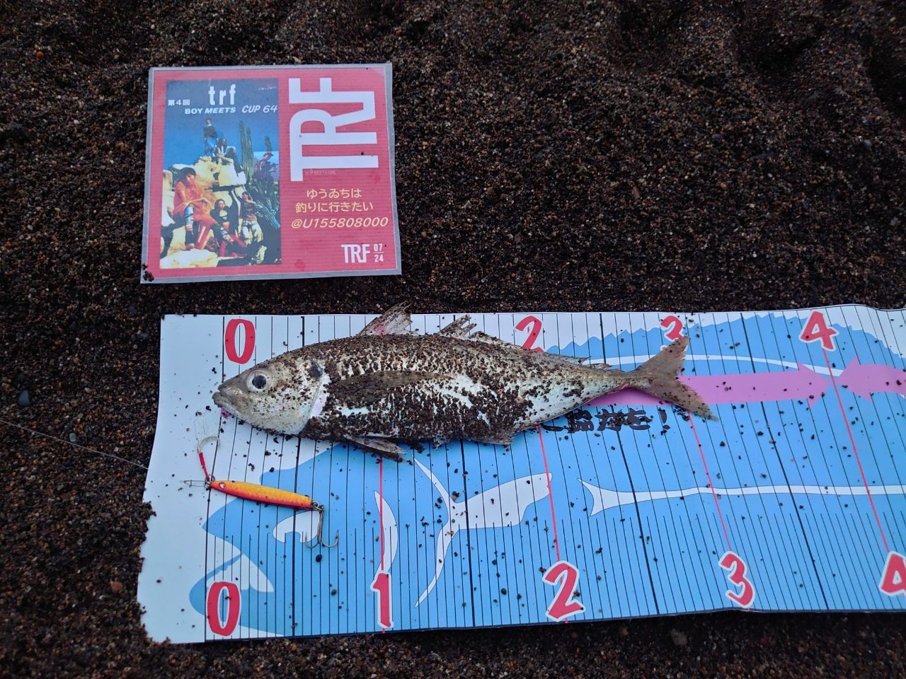 アジ