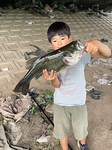 ブラックバスの釣果