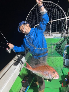 マダイの釣果