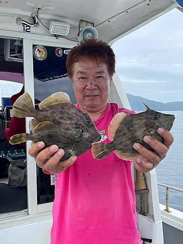 カワハギの釣果