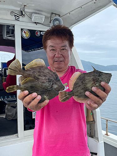 カワハギの釣果