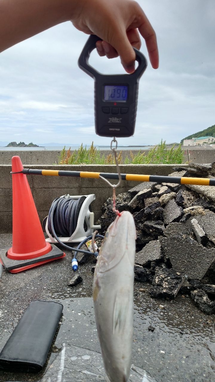 渦波さんの釣果 3枚目の画像