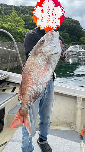 タイの釣果