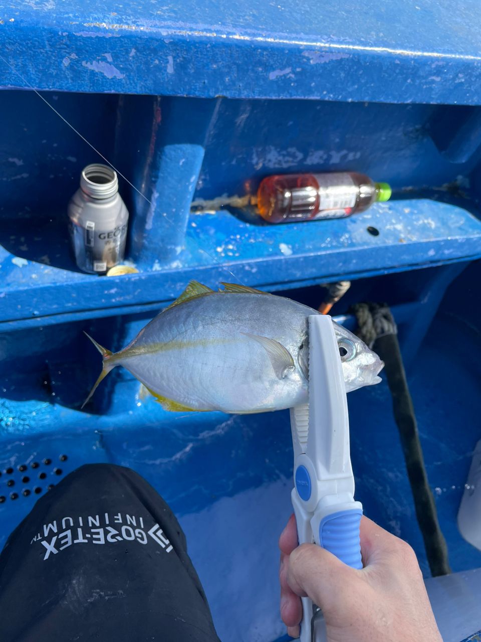 kouhe0110さんの釣果 2枚目の画像