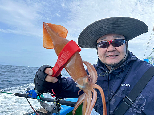 スルメイカの釣果