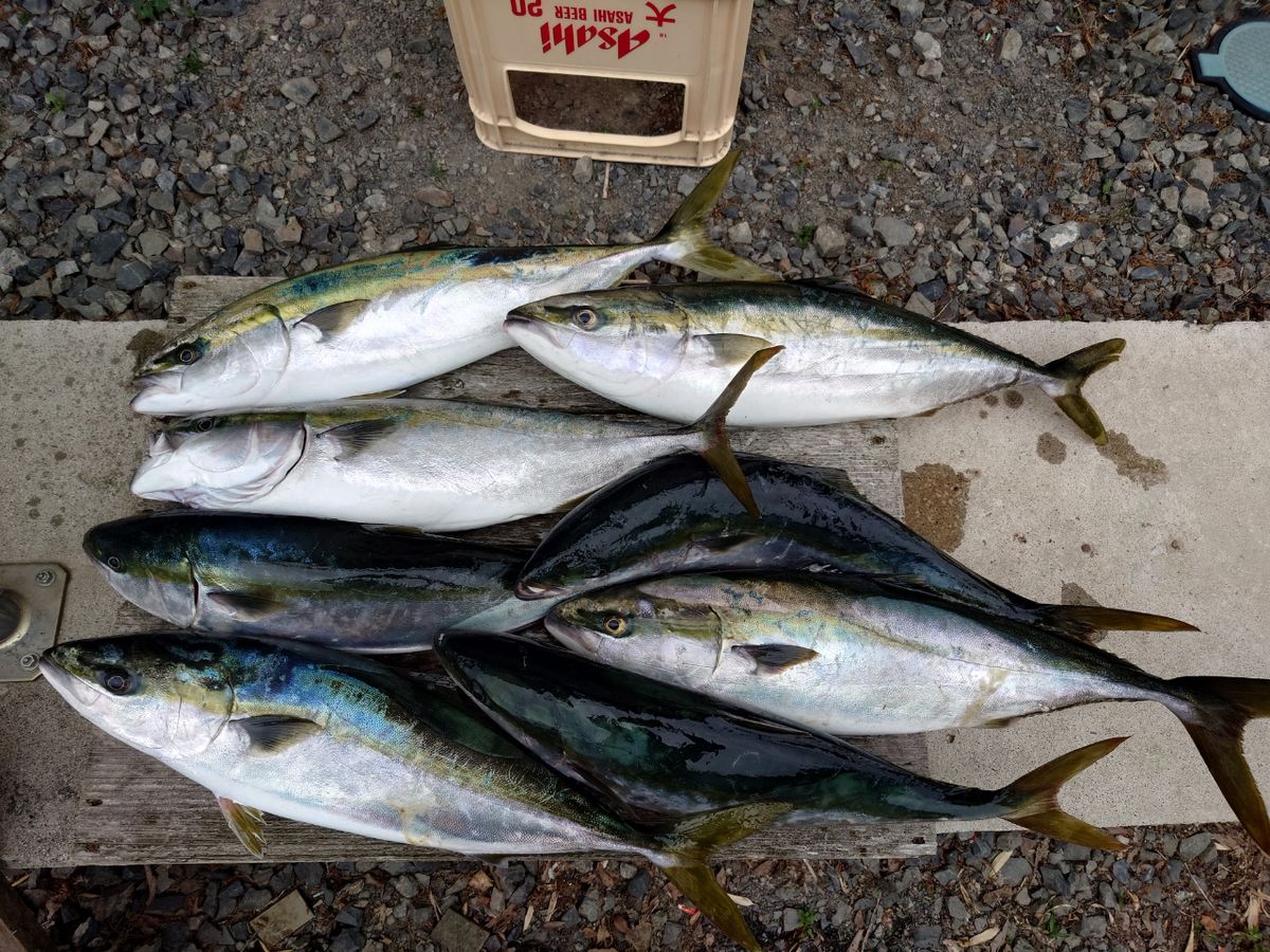 働くルアーマンさんの釣果 2枚目の画像