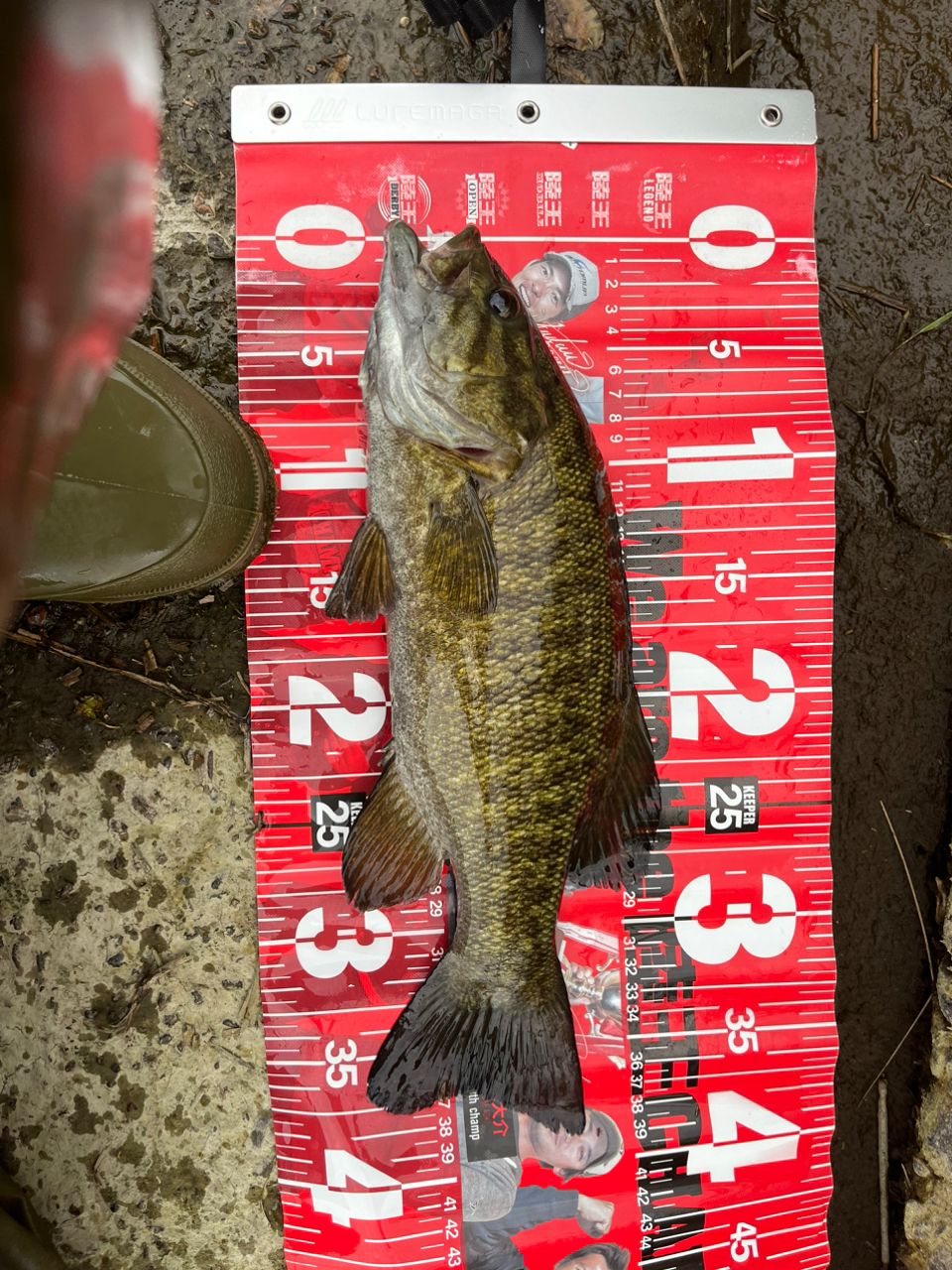 スモールマウスバス