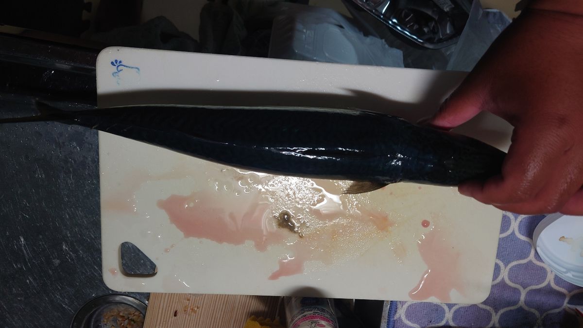 龍次㈱さんの釣果 2枚目の画像