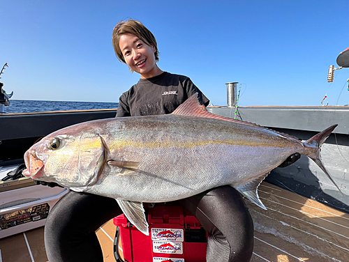 カンパチの釣果