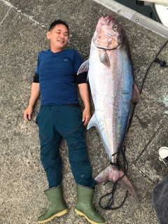 カンパチの釣果