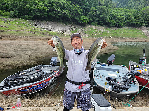 ブラックバスの釣果