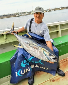 キハダマグロの釣果