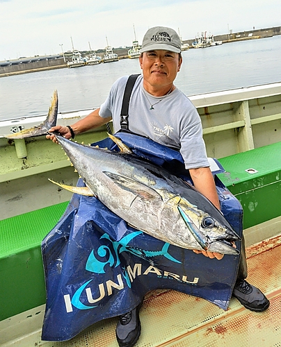 キハダマグロの釣果