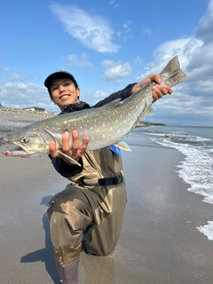 アメマスの釣果