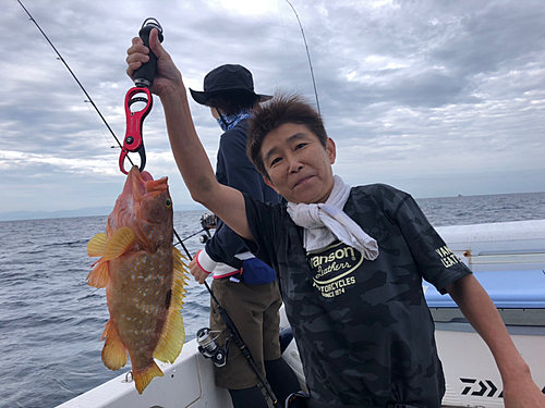 アコウの釣果