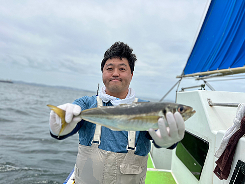 マアジの釣果